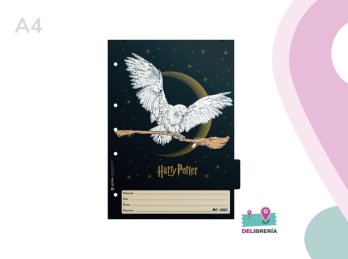SEPARADOR MATERIA A4 HARRY POTTER